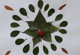 (photo)