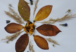 (photo)