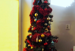  (photo)