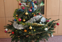 (photo)