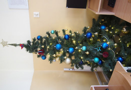  (photo)