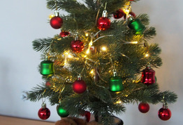  (photo)