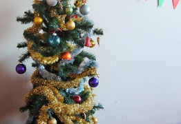  (photo)