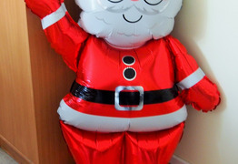  (photo)