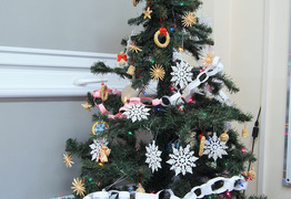  (photo)