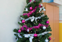  (photo)