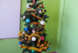  (photo)