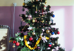  (photo)
