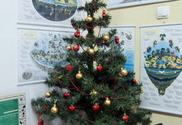  (photo)