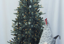  (photo)