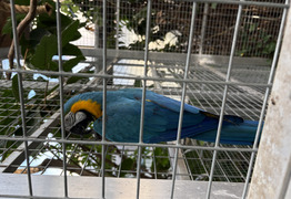 (photo)